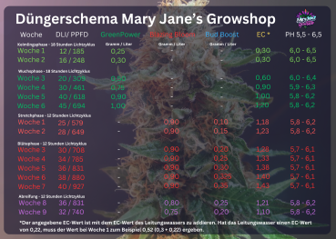 Blazing Bloom 500g Mary Jane's